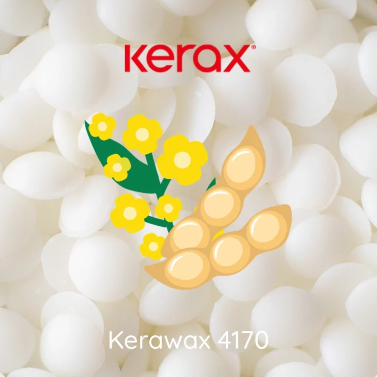 Kerax Rapeseed Container 4170 | Rapeseed Wax | Wick and Wax Supply Co