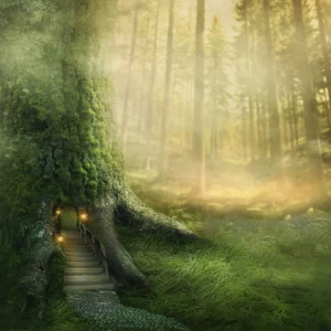 image du produit: Fragrance Oil <span>Enchanted Forest</span>