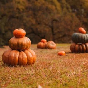 image du produit: Fragrance Oil <span>Farmhouse Pumpkin Patch</span>