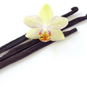 image du produit: Fragrance Oil <span>French Vanilla</span>