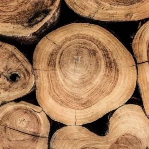 image du produit: Fragrance Oil <span>Indonesian Teakwood</span>