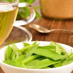 image du produit: Fragrance Oil <span>Lemon Verbena</span>