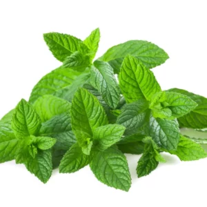 image du produit: Fragrance Oil <span>Minty Freshness</span>