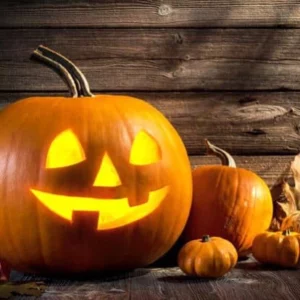 image du produit: Fragrance Oil <span>Pumpkin Pie</span>