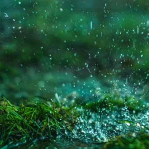 image du produit: Fragrance Oil <span>Rainy Spring Day</span>
