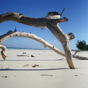 image du produit: Fragrance Oil <span>Rocksalt and Driftwood</span>