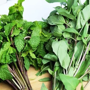 image du produit: Fragrance Oil <span>Spearmint and Basil</span>