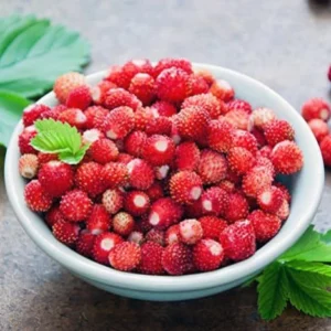 image du produit: Fragrance Oil <span>Wild Strawberry</span>