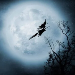 image du produit: Fragrance Oil <span>Witching Hour</span>